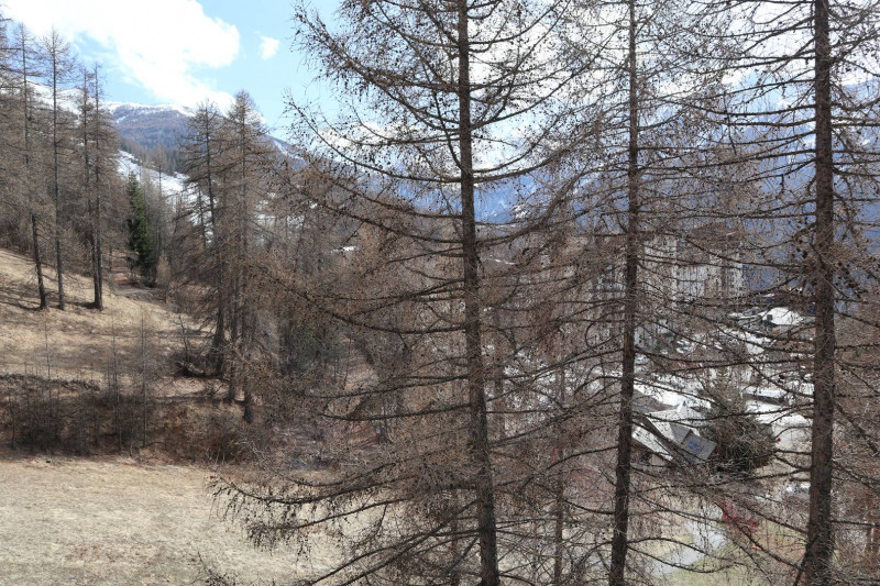 _clients_210520001_photos_634l_10173463 _clients_210520001_photos_634l_10173463