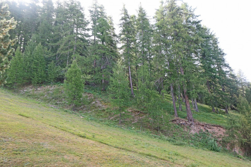 _clients_210520001_photos_65j_10340334