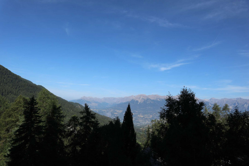 _clients_210520001_photos_683g_10624242 _clients_210520001_photos_683g_10624242