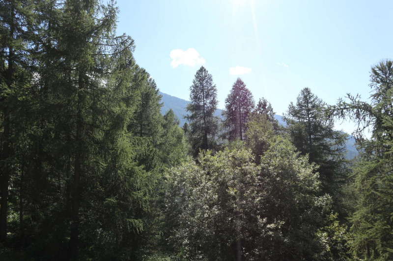 _clients_210520001_photos_721j_10515735