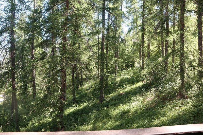 _clients_210520001_photos_72g_11339538