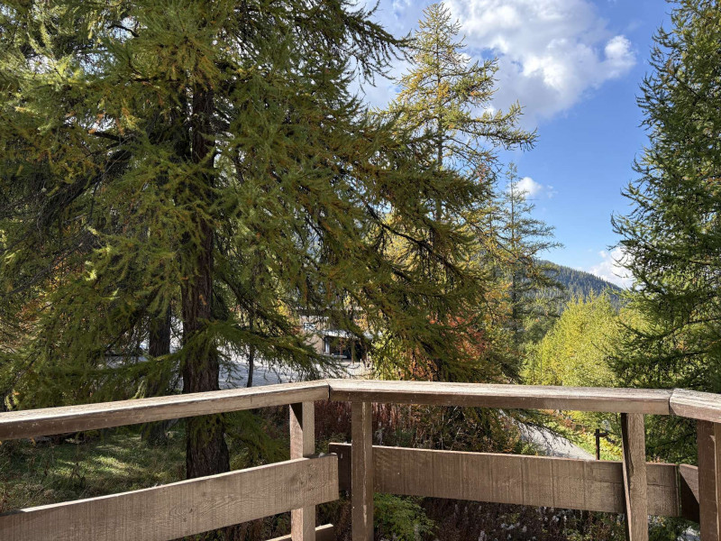 _clients_210520001_photos_732i_11240958 _clients_210520001_photos_732i_11240958