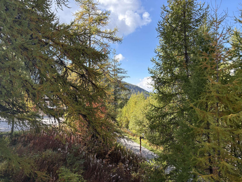 _clients_210520001_photos_732j_10449119