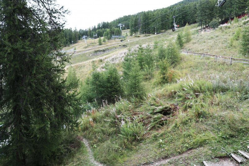 _clients_210520001_photos_735h_11093328