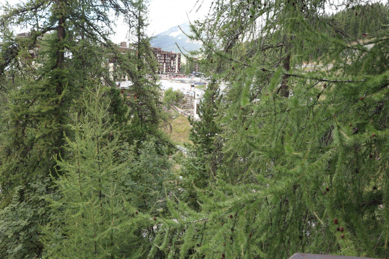 _clients_210520001_photos_736i_10249094 _clients_210520001_photos_736i_10249094