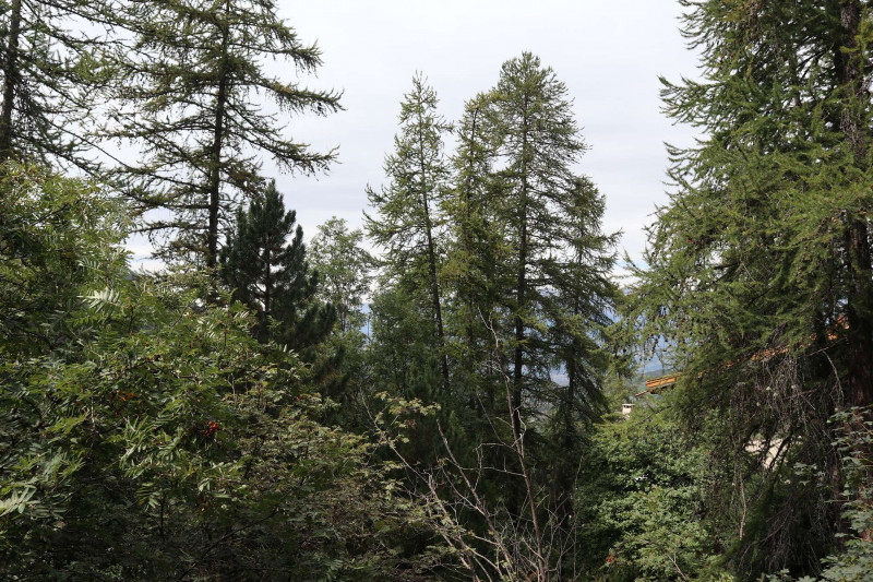 _clients_210520001_photos_750w_10249171 _clients_210520001_photos_750w_10249171