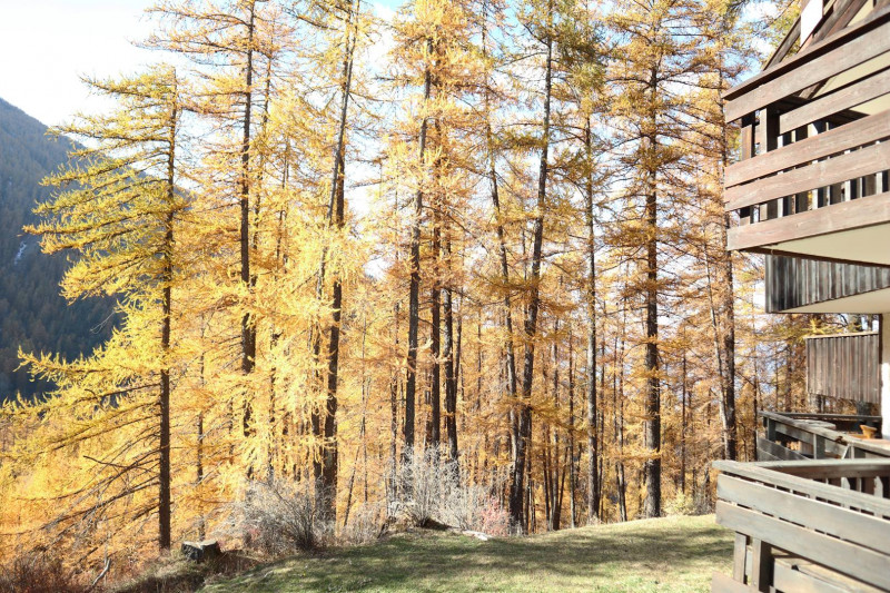 _clients_210520001_photos_75i_11210170 _clients_210520001_photos_75i_11210170