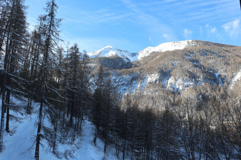 _clients_210520001_photos_766i_9915694 _clients_210520001_photos_766i_9915694