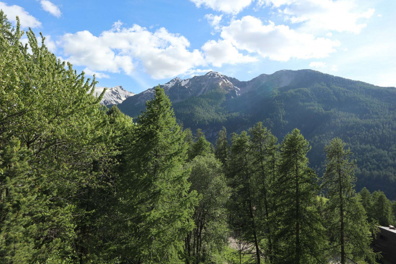 _clients_210520001_photos_808j_10014720