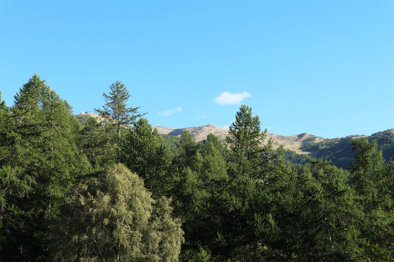 _clients_210520001_photos_817h_11002073