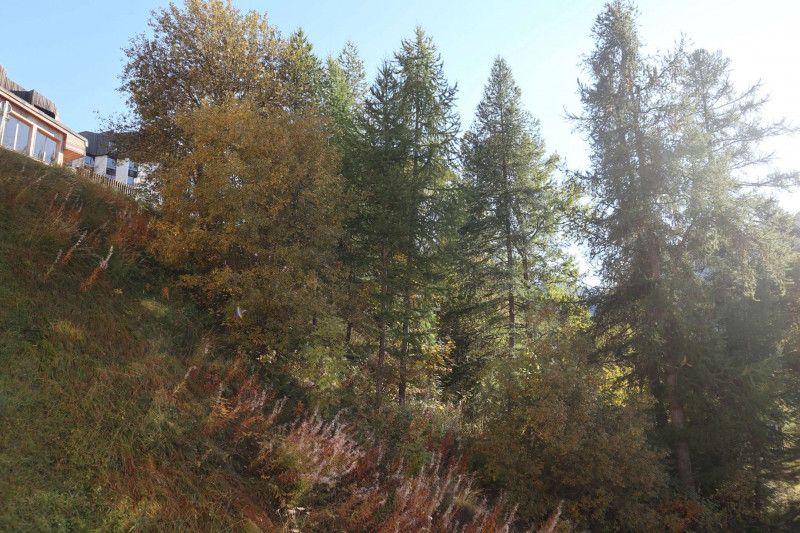 _clients_210520001_photos_828h_11266491