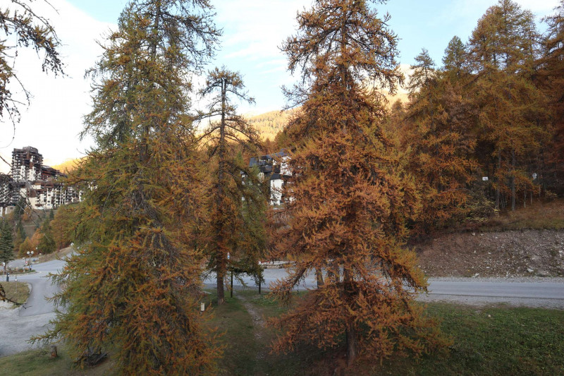 _clients_210520001_photos_835j_10208333 _clients_210520001_photos_835j_10208333