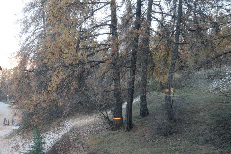 _clients_210520001_photos_839g_10608874