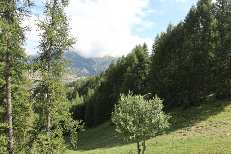 _clients_210520001_photos_848j_10692629