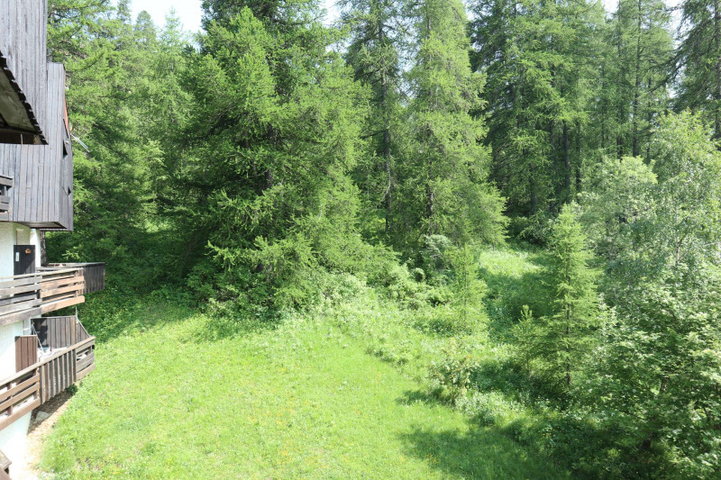 _clients_210520001_photos_854i_10550387 _clients_210520001_photos_854i_10550387