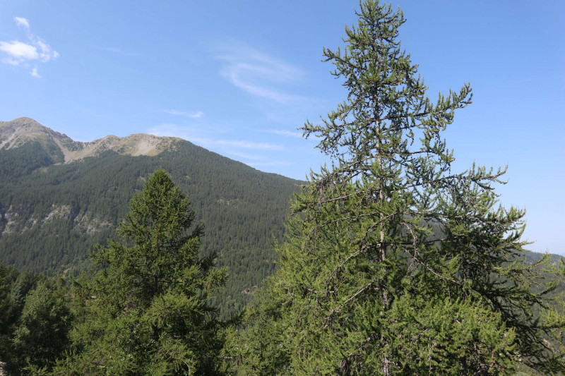 _clients_210520001_photos_859k_11102790