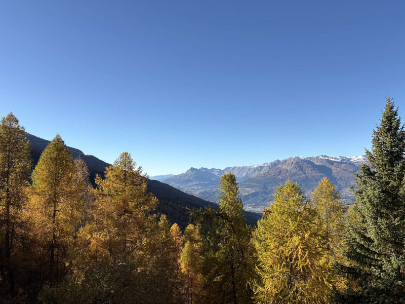 _clients_210520001_photos_874i_10617561