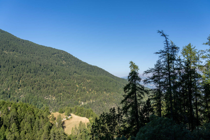 LocationAppartementLesOrres_AgenceDesOrres_B404 LocationAppartementLesOrres_AgenceDesOrres_B404