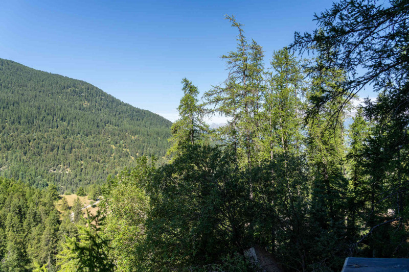 LocationAppartementLesOrres_AgenceDesOrres_B303 LocationAppartementLesOrres_AgenceDesOrres_B303