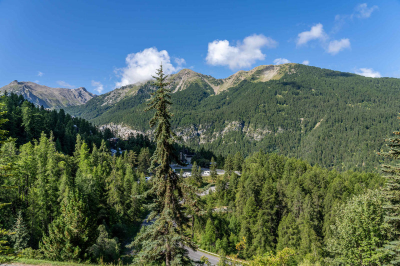 LocationAppartementLesOrres_AgenceDesOrres_B107 LocationAppartementLesOrres_AgenceDesOrres_B107