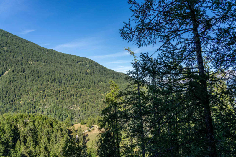 Vue été Vue été