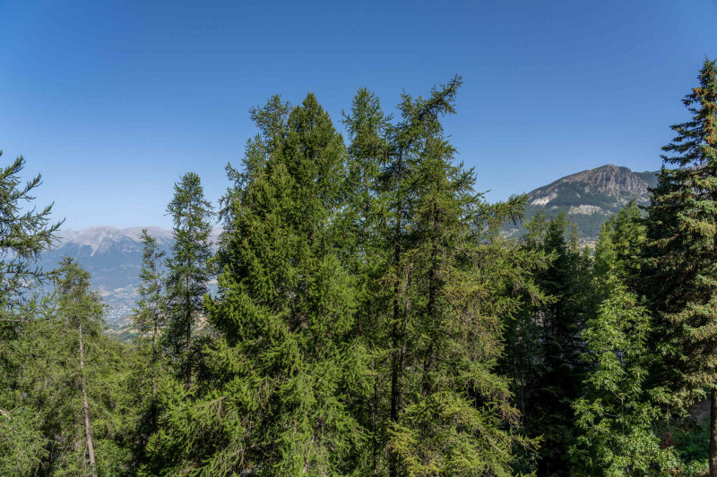 LocationAppartementLesOrres_AgenceDesOrres_B715 LocationAppartementLesOrres_AgenceDesOrres_B715