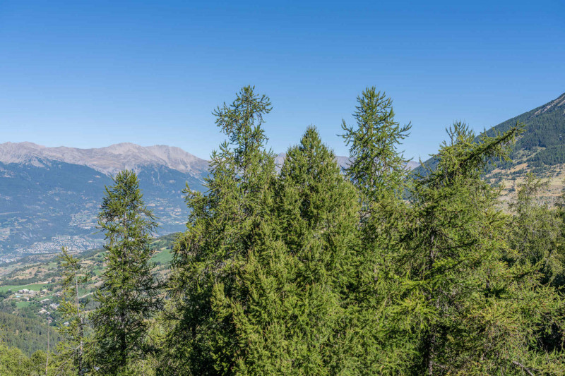 LocationAppartementLesOrres_AgenceDesOrres_B916 LocationAppartementLesOrres_AgenceDesOrres_B916