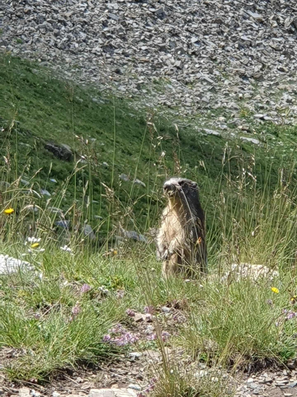 LocationAppartementLesOrres_AgenceDesOrres_BMA302 LocationAppartementLesOrres_AgenceDesOrres_BMA302