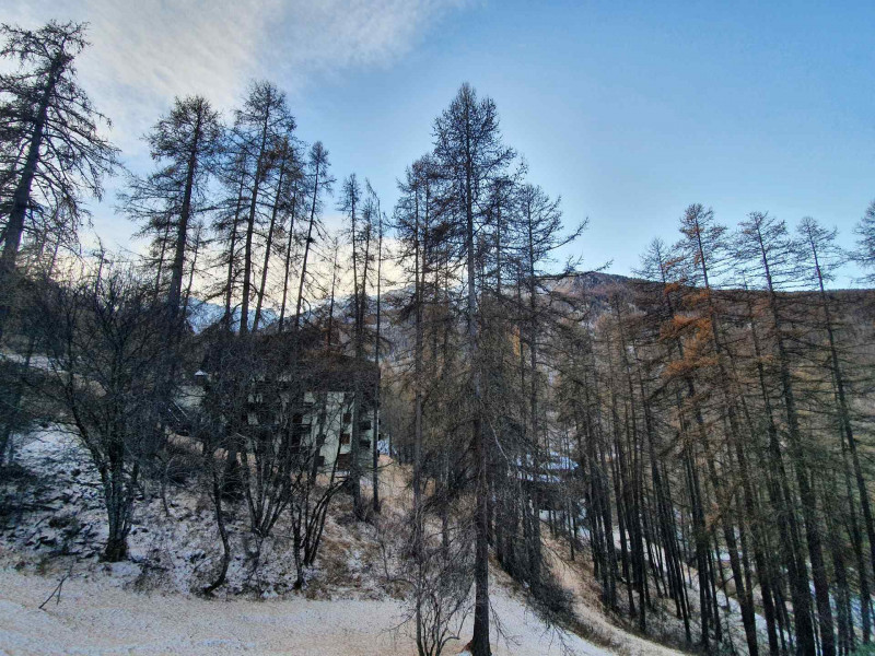 LocationAppartementLesOrres_AgenceDesOrres_CRO203 LocationAppartementLesOrres_AgenceDesOrres_CRO203