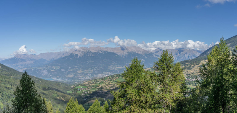 LocationAppartementLesOrres_AgenceDesOrres_HOR624 LocationAppartementLesOrres_AgenceDesOrres_HOR624