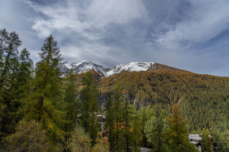 LocationAppartementLesOrres_AgenceDesOrres_ECR606