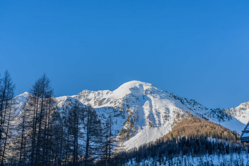 LocationAppartementLesOrres_AgenceDesOrres_TSO2210 LocationAppartementLesOrres_AgenceDesOrres_TSO2210