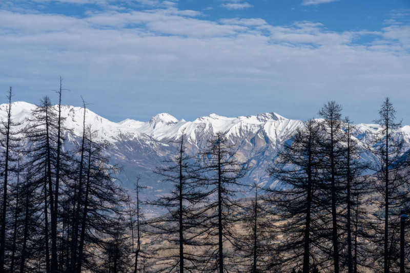 LocationVacancesLesOrres_AgenceDes_Orres_MZ1105 LocationVacancesLesOrres_AgenceDes_Orres_MZ1105