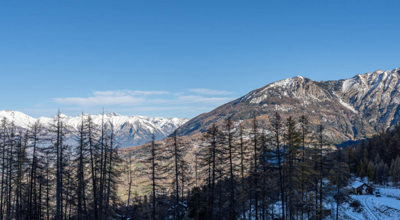 LocationAppartementLesOrres_AgenceDesOrres_MZ1103 LocationAppartementLesOrres_AgenceDesOrres_MZ1103