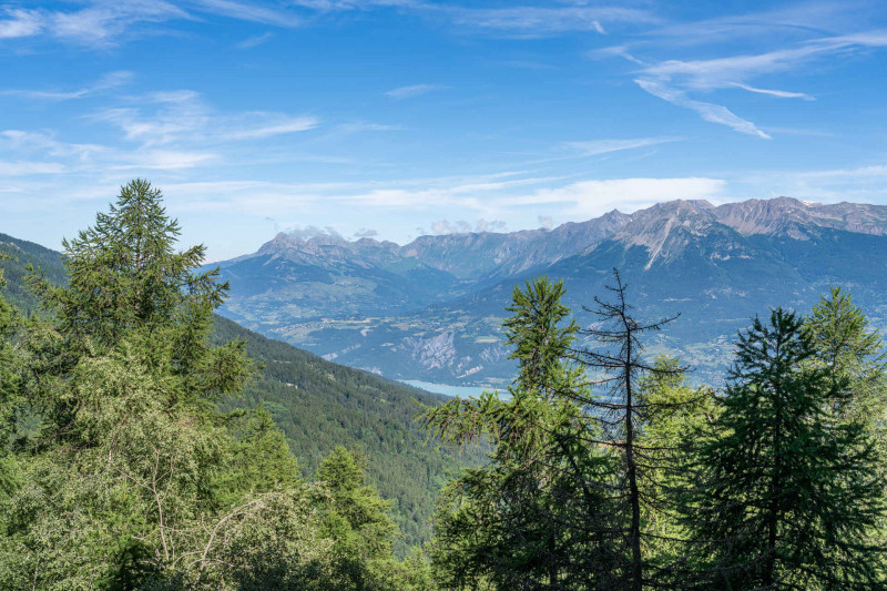 Vue été Vue été