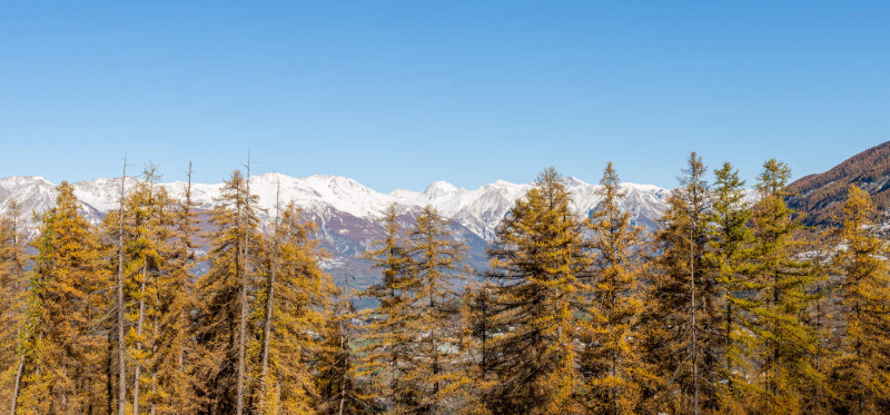 LocationAppartementLesOrres_AgenceDesOrres_MZ1106 LocationAppartementLesOrres_AgenceDesOrres_MZ1106