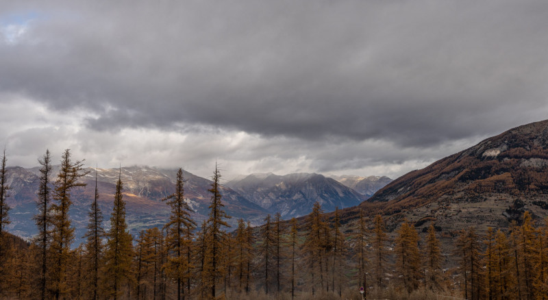 LocationAppartementLesOrres_AgenceDesOrres_MZ2302