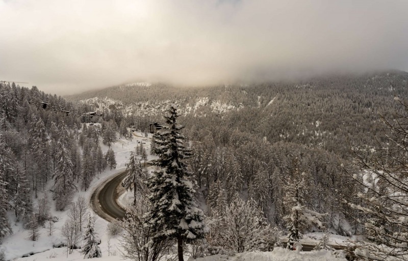 LocationAppartementLesOrres_AgenceDesOrres_B203